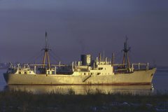 Thumbnail Image for Calypso