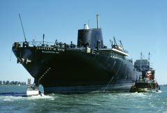 Thumbnail Image for Charles M. White