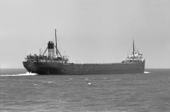 Thumbnail Image for Homer D. Williams