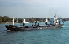 Thumbnail Image for Fastnes