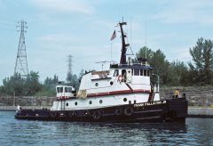 Thumbnail Image for Frank Palladino Jr.