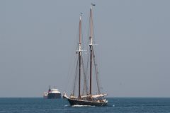 Thumbnail Image for Highlander Sea