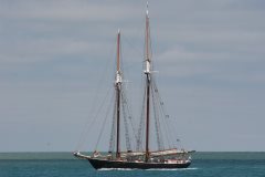 Thumbnail Image for Highlander Sea