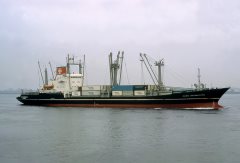 Thumbnail Image for Hans Bornhofen