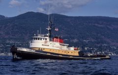 Thumbnail Image for Adventurer