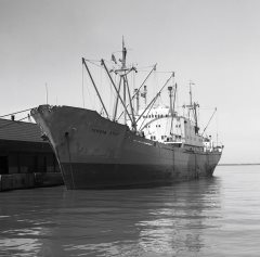 Thumbnail Image for Yehuda oncontextmenu=