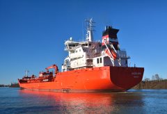 Thumbnail Image for Algoluna