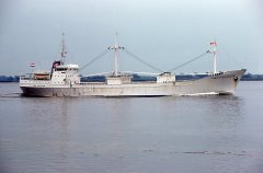 Thumbnail Image for Leo Polaris