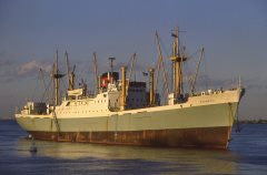 Thumbnail Image for Mandraki