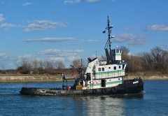 Thumbnail Image for Vigilant I