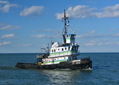 Thumbnail Image for Vigilant I