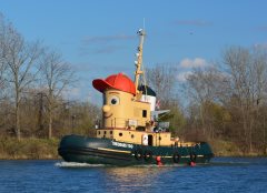 Thumbnail Image for Theodore Too