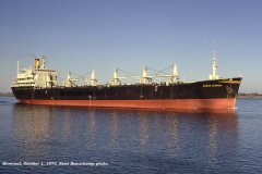 Thumbnail Image for Norse Captain