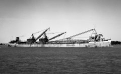 Thumbnail Image for Marquis Roen