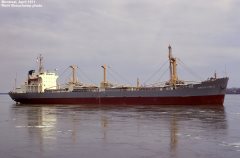 Thumbnail Image for Sheaf Field