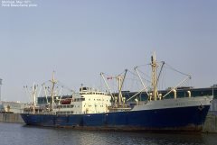 Thumbnail Image for Silver Crest