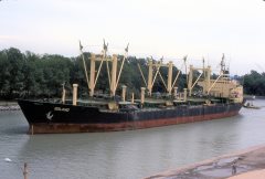 Thumbnail Image for Solano