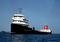 Thumbnail Image for Charles M. White