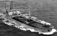 Thumbnail Image for Steely Runner