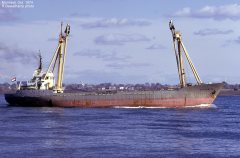 Thumbnail Image for Stellanova