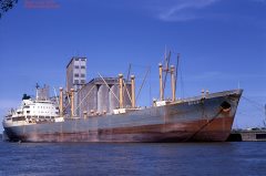 Thumbnail Image for Suerte