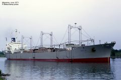 Thumbnail Image for Teti N.