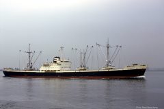 Thumbnail Image for Theanto A.S.