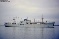 Thumbnail Image for Tigris