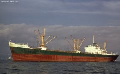 Thumbnail Image for Toxotis