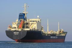 Thumbnail Image for Ginaldag