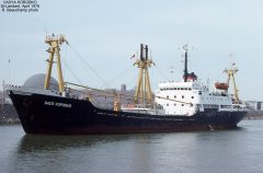 Thumbnail Image for Vasya Korobko