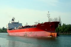 Thumbnail Image for Maemi