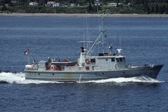 Thumbnail Image for Cumella