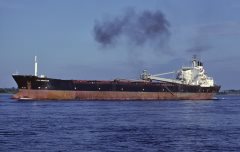 Thumbnail Image for CSL Innovator