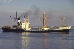 Thumbnail Image for Vigor