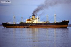 Thumbnail Image for Zinnia