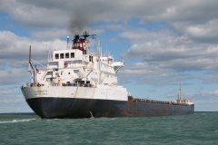 Thumbnail Image for Algonorth