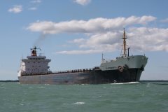 Thumbnail Image for Algonorth