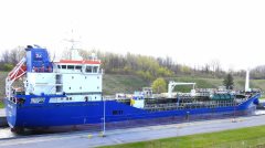 Thumbnail Image for Fionia Swan