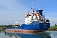 Thumbnail Image for Fionia Swan