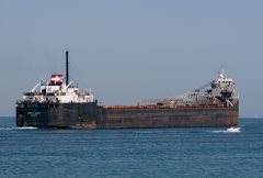 Thumbnail Image for John D. Leitch