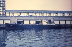 Thumbnail Image for Cupids