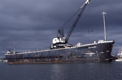 Thumbnail Image for D.D.S. Salvager