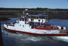 Thumbnail Image for D.L. MacLaren