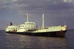 Thumbnail Image for Achatina