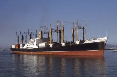 Thumbnail Image for African Sun