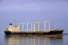 Thumbnail Image for Asia Zebra