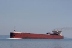 Thumbnail Image for American Century