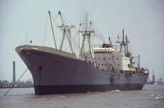 Thumbnail Image for Banat