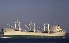 Thumbnail Image for Banija